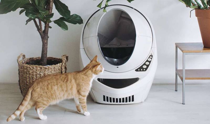 Litter Robot Review – The Smart-Tech Litter Box