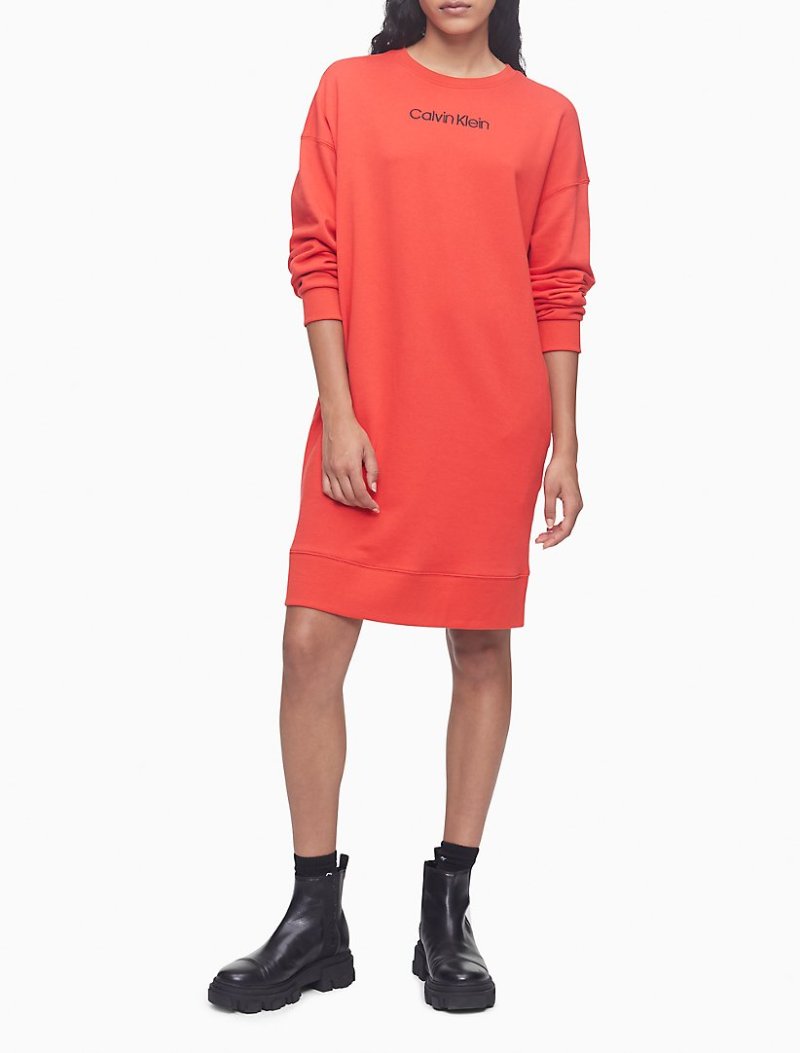 Logo Crewneck Sweatshirt Dress