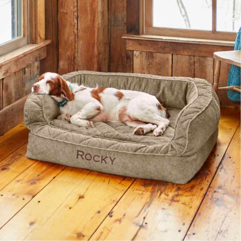 Orvis Memory Foam Couch Dog Bed