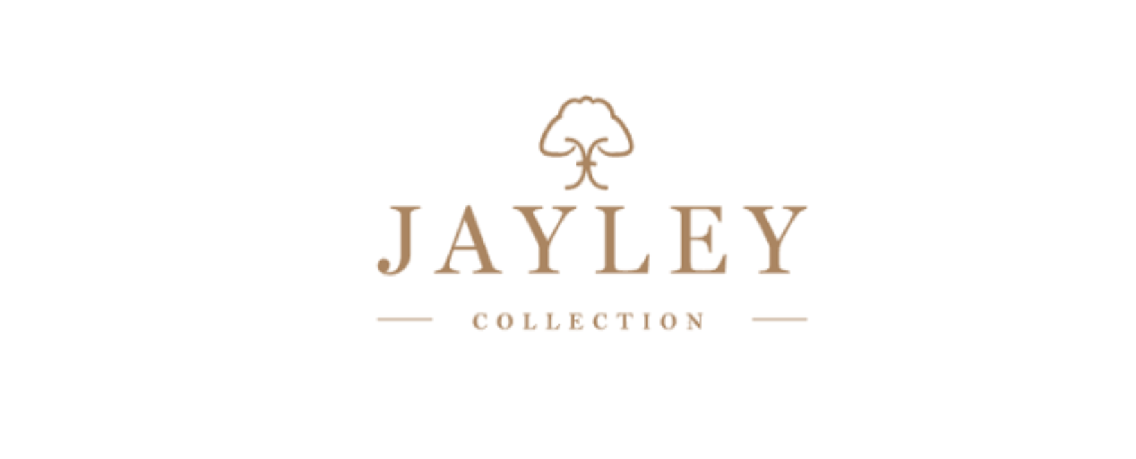 Jayley Review : Elevating Women's Fashion