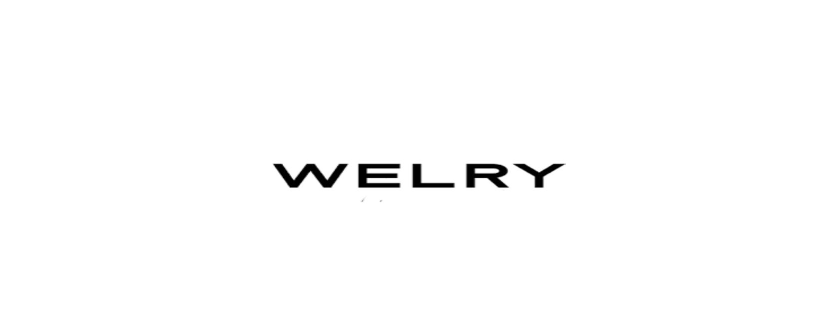 Welry Review 2025