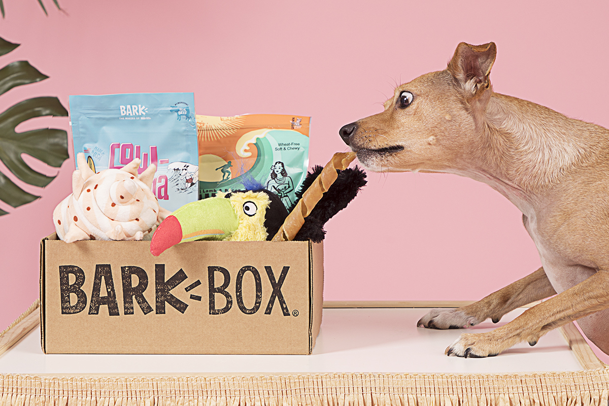 BarkBox Reviews 2025 - Why Do All The Pups Love It?
