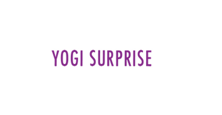 Yogi Surprise Coupon Code 2025