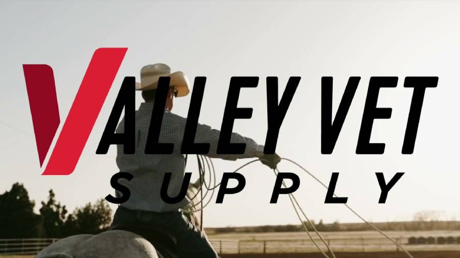Valley Vet Review : Caring for Animals with Compassion and Expertise